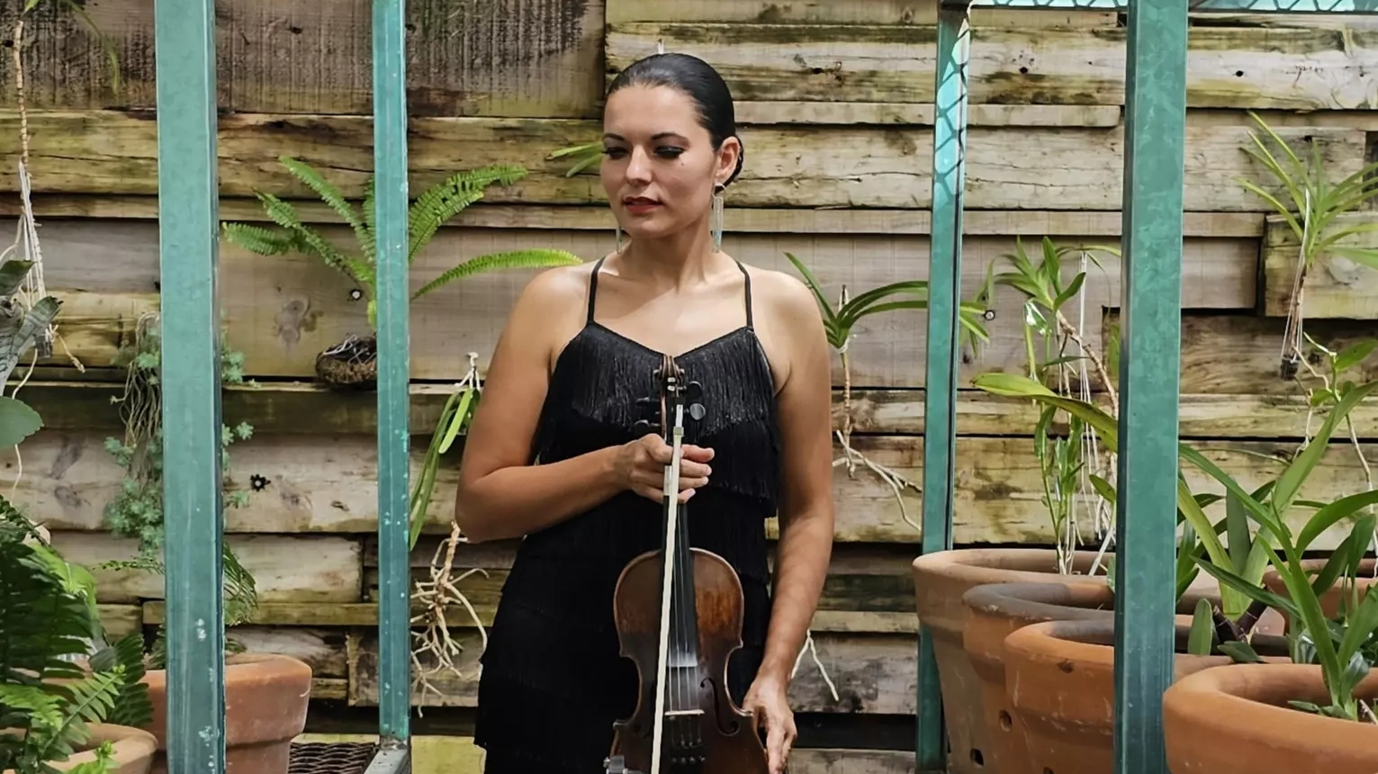 Lyka Violinista